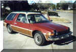 The Pacer Farm's 1978 Pacer Wagon